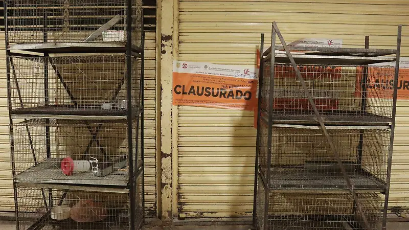 Mercado de Sonora sin animales